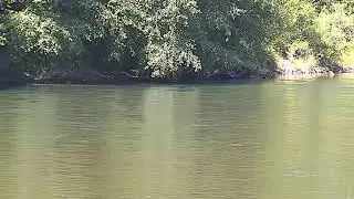 Cowlitz River Live Cam 2