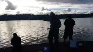 NZ Fishing | Float Fishing | Garfish/Piper