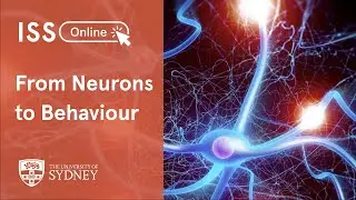 From Neurons to Behaviour &mdash; with Adrienne Fairhall
