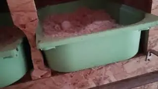 Der neue Hühnerstall - Wie er jetzt aussieht...