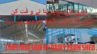 CONSTRUCTION OF DAIRY FARM SHED | DAIRY FARM #dairy #shed #construction #infrastructure #cow #farm