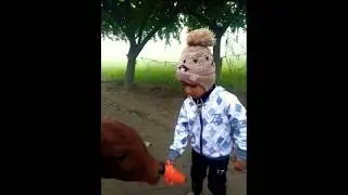 ✨Small#baby hands, big heart &mdash; feeding the calf with love.&rdquo; 💖🍼 #trending