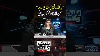&ldquo;This is Not a Country, It&rsquo;s a Market&rdquo; &ndash; Hasan Nisar&rsquo;s Bold Statement | Black and White