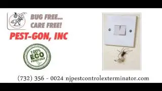 Mountainside New Jersey Pest Control