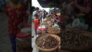 Unbelievable Asian Market Full of Strange & Exotic Finds 😱 | Unique Marketplace. @diabdullah-ai