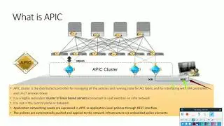 3 APIC Clustering and internal APIC processes