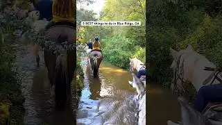 5 BEST things to do in Blue Ridge, GA #bestthings #bestthingstodo #bestthingsblueridge #blueridge