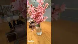 Tabata Jalil Cocina tu vela