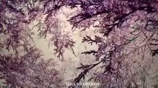 Jos&eacute; Gonz&aacute;lez - Every Age (Lyric Video)