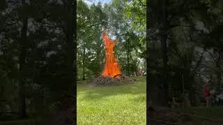 Burning a big brush pile #nature #fire