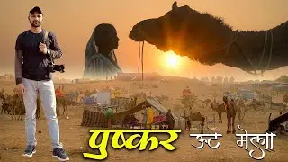 पुष्कर पशु मेला राजस्थान world's Biggest Camel Fair Pushkar desert camel fair