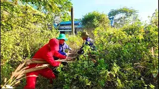 Расчистка участка для дома, который молчал много лет