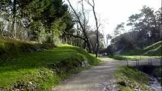 EN EL PARQUE DE MATALEÑAS (Santander)