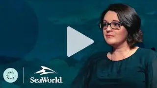 Client Success: Leveraging Data For More Effective Email Personalization At SeaWorld
