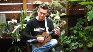 Blackbird Farallon - Der Dritte Mann