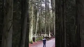 From sea to woods! Beautiful British Columbia! #beautifulbritishcolumbia #shakirulphotography