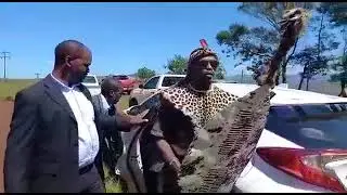 DLAMINI CLAN/  THE ARRIVAL OF THE HEAD OF DLAMINI KINGDOM