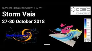 MedCyclones: Storm Vaia 27-30 October 2018