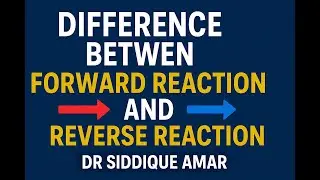 Forward vs Reverse Reactions: Differences in Chemical Equilibrium, Performance by Govt. School Kids