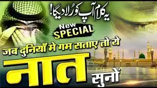 सारे नबियों के है सुल्तान मदीने वाले_🌿दाउद जिया किबला शायर new Kalam 2026