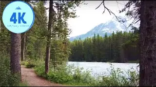 4K Virtual Walk - Bow River Loop in Lake Louise - Forest Walk