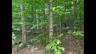0 Mistys Trail, Empire, MI 49630 - Land - Real Estate - For Sale