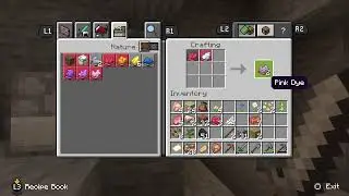 Minecraft w/ brother