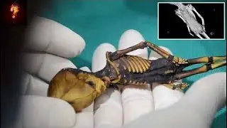 [History Channel] The Sirius Alien