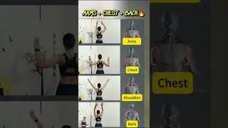 Upper Body Workout | Arms, Chest, Shoulders & Back at Home #fitnesswithnikita