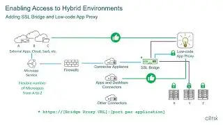 Microapps within Hybrid Workspaces