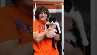 how many cats can hold me #thisiswhatyoucamefor