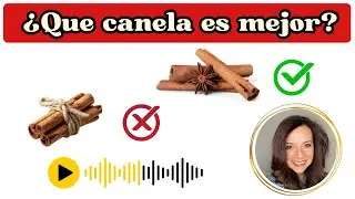 Canela de Ceyl&aacute;n vs. Cassia: &iquest;Cu&aacute;l es mejor para tu salud?