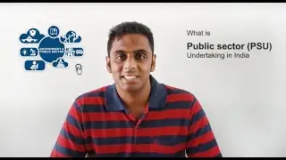 What is Public Sector Enterprises (PSU)?