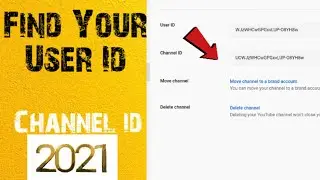 channel id How to find out channel id user id