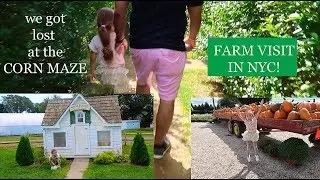 We got lost in a Corn Maze | NYC Farm visit 2018