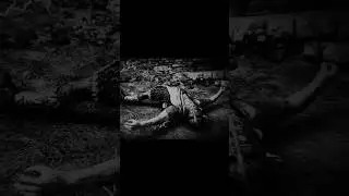 𝘩𝘰𝘳𝘳𝘰𝘳 историй #like ##phonkagressive #moments #horror #edit