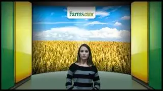 USDA Quarterly Grain Stocks Report Is Bearish.   Farms.com Report