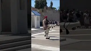 Evzones exiting after changing of the guards #greece #history #tourism #evzone #soldier #visitathens