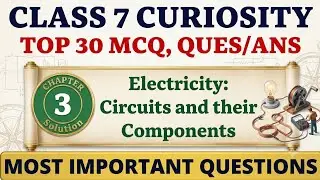 Class 7 Electricity : Circuits and their Components MCQ & Question Answers