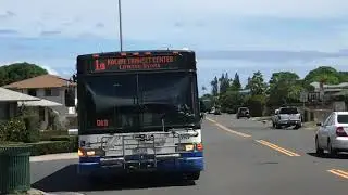Bus 513 on rt.1L (very rare)