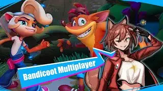 Crash 4 Multiplayer Info