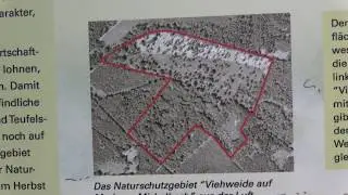 Naturschutzgebiet Viehweide auf Markung Michelbach 25.08.2017