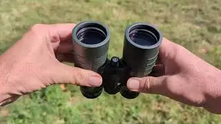 Digiscoping with Bushnell XLT 10x42 Binoculars