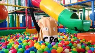 En Edelvives nos gusta explorar... &iexcl;y las croquetas!
