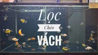Fish 113: Nguyên lý hoạt động lọc chéo vách. Chống tràn cho hồ khoan đáy