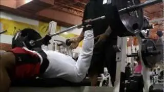 Chest & Traps Training
