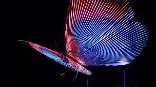 Burning Man 2023 - LED Flying Butterfly - Mariposa