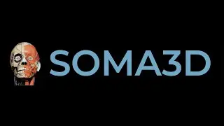 Soma3D &ndash; A High-Resolution 3D Human Anatomy Atlas