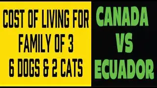 Pet-Friendly Budgeting: Cuenca Ecuador vs Canada! A Real-Life Cost Comparison