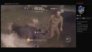 StormHeartWion's Live PS4 RE4R